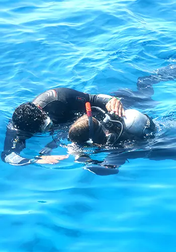 Egypt International Diving